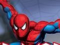 Xogo Araña Guerreiro  en liña