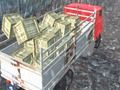 Xogo Controlador de camionetas Offroad  en liña
