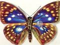 Xogo Diferenzas Mariposas  en liña