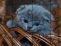 Xogo Rompecabezas: Gatos  en liña