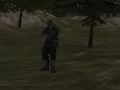 Xogo Axencia FPS: bosque  en liña