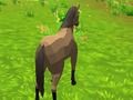 Xogo Simulador de cabalos 3D  en liña