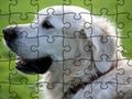 Xogo Crebacabezas Animais domesticados  en liña