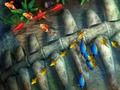 Xogo Rei da pesca  en liña