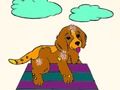 Xogo Libro para colorear de animais  en liña