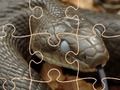 Xogo Serpes misteriosas: crebacabezas  en liña