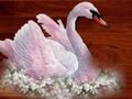Xogo Puzzle de aves amor  en liña