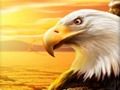 Xogo Águila  en liña