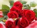 Xogo Rosas Vermellas  en liña