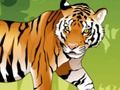 Xogo Colorante de tigre enfadado en liña