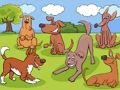 Xogo Diferenzas de animais  en liña