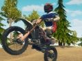 Xogo Endure Racing Enduro Racing  en liña