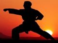 Xogo Guerreiros de Karate Sunset  en liña
