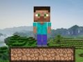 Xogo Supervivencia en Minecraft  en liña