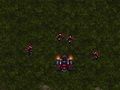 Xogo Starcraft 3  en liña