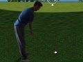 Xogo Flash Golf 3D  en liña