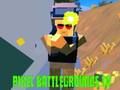 Xogo Pixel Battlegrounds. IO  en liña