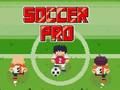 Xogo Fútbol profesional  en liña