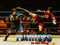 Xogo Loitadores no ring  en liña