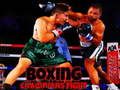 Xogo Loita de campións de boxeo  en liña