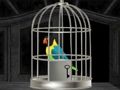 Xogo Fuga de loros  en liña