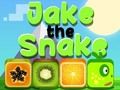 Xogo Jake A Serpe  en liña