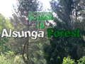 Xogo Regreso ao bosque de Alsunga  en liña