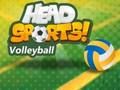 Xogo Head Sports Voleibol  en liña