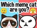 Xogo Que gato meme eres?  en liña