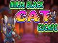 Xogo Ninja Black Cat Escape en liña