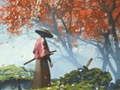 Xogo Reflexión Samurai  en liña