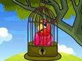 Xogo Rescate de loros vermellos  en liña
