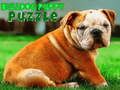 Xogo Puzzle Bulldog Puppy  en liña
