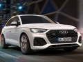 Xogo Diapositiva Audi SQ5 TDI en liña