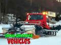 Xogo Vehículos de acondicionamento de neve  en liña