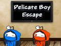 Xogo Delicada Boy Escape  en liña