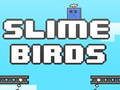 Xogo Paxaros Slime  en liña