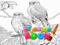 Xogo Libro para colorear para adultos  en liña