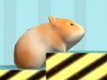 Xogo Hamster Para confirmar  en liña