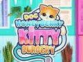 Xogo Cirurxía Doc HoneyBerry Kitty  en liña