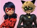 Xogo Crebacabezas de Miraculous Ladybug e Cat Noir  en liña