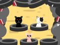 Xogo Colle aos gatos en liña