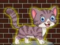 Xogo Escapada de gato pequeno encantador  en liña