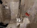 Xogo Ocupado  en liña