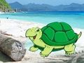 Xogo Escape de parella de cangrexos de praia  en liña