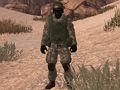 Xogo Soldado da Patria: Sahara  en liña