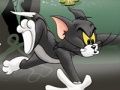 Xogo Tom e Jerry Chase en Marsh  en liña
