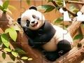 Xogo Crebacabezas: Panda na árbore  en liña
