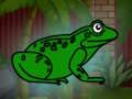 Xogo Rescatar o sapo verde do calabozo  en liña