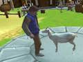 Xogo Simulador de cabras tolas  en liña